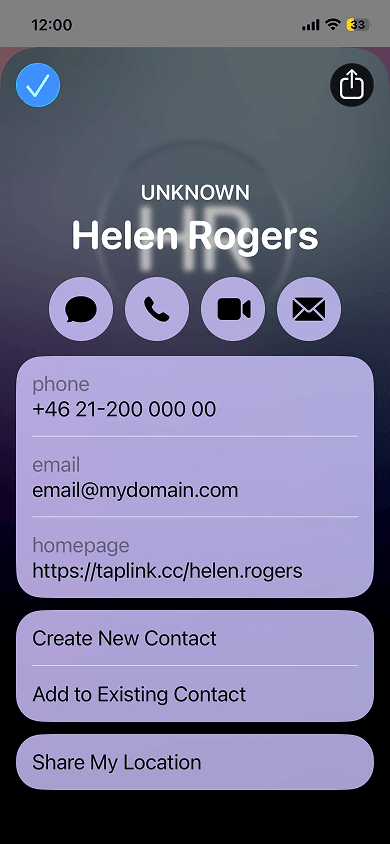 Window with contact details displayed on the phone