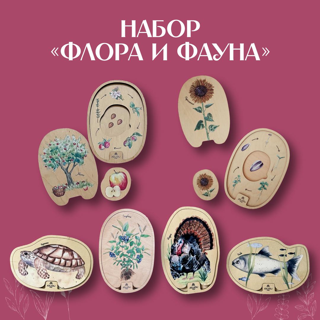 Набор многоуровневых пазлов "Флора и фауна: яблоко, подсолнух, голубика ...
