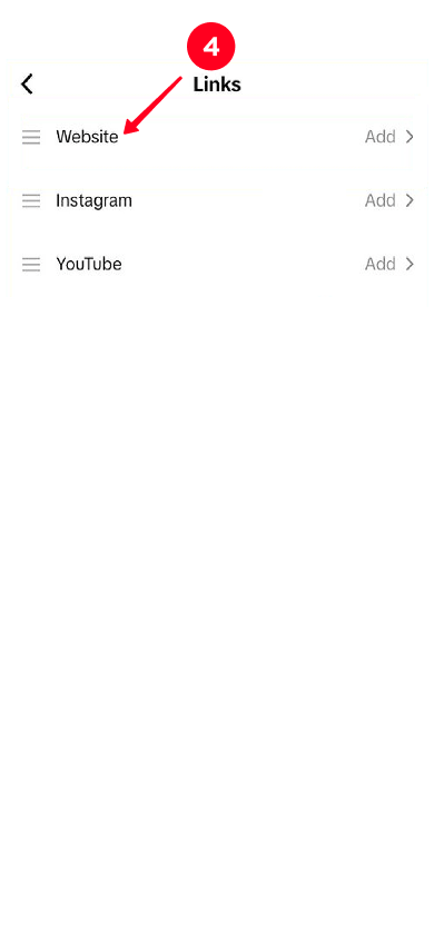 Selecting Website in the Links window in the TikTok app