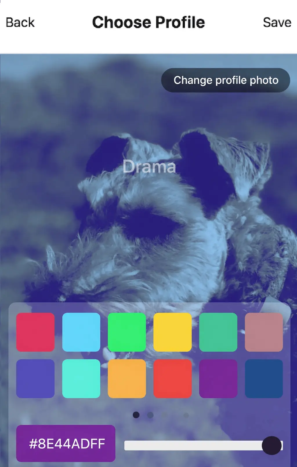 Background color settings available in Tap Bio