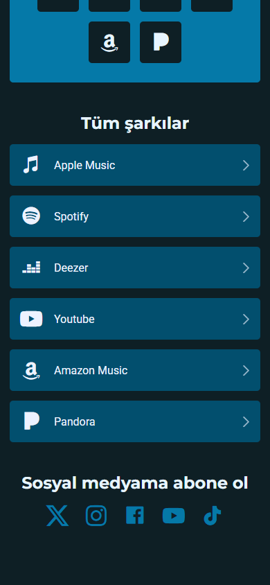 Bir müzisyene ait Linktree örneğinin alt kısmı