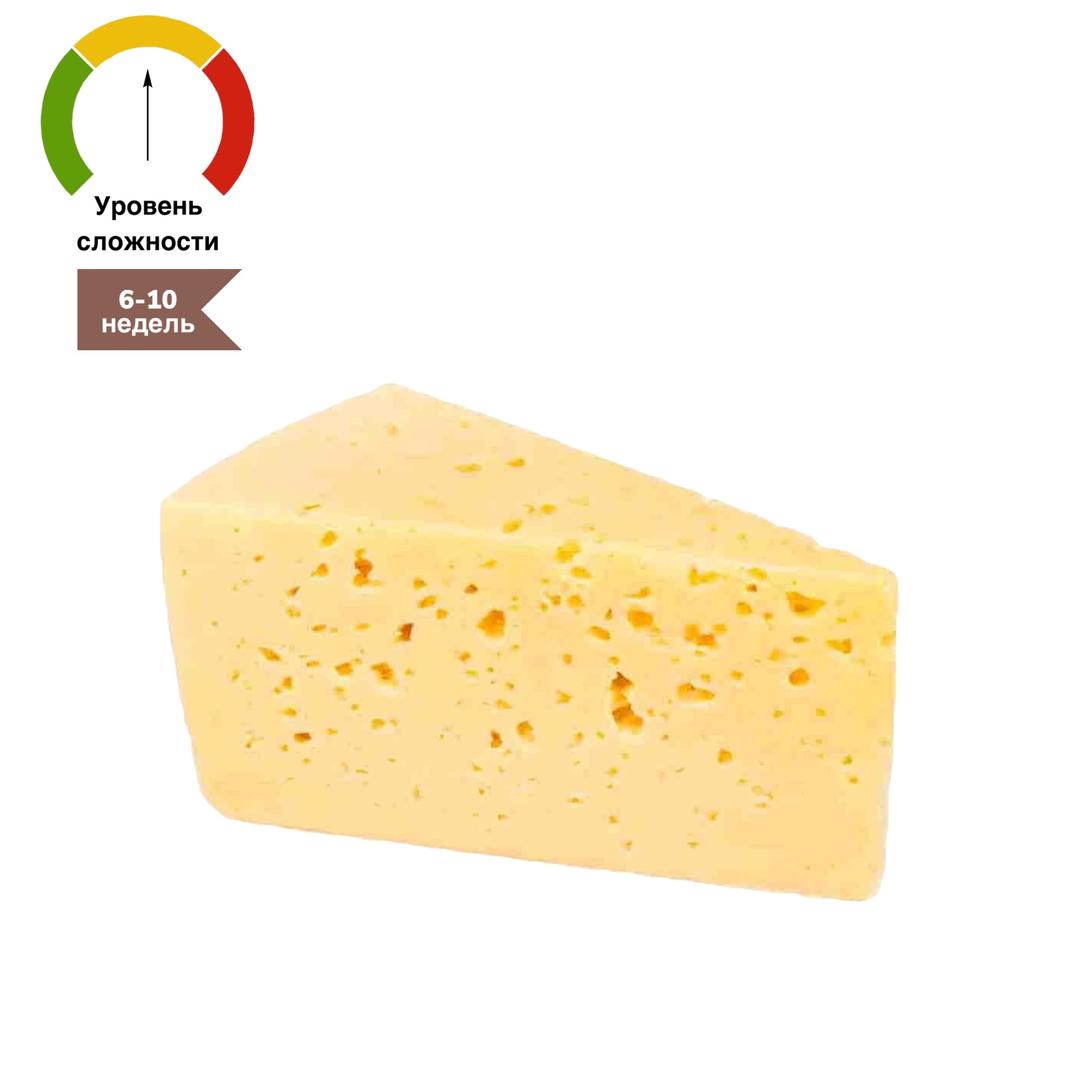 sim-cheese.ru