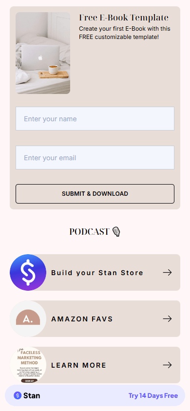 A lead magnet and a form on the user’s Stan Store page