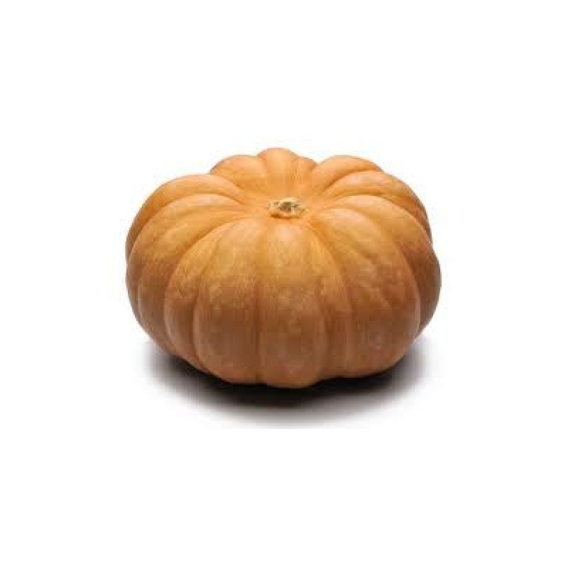 осень тыквы. тыква декоративная. тыква 9 9.