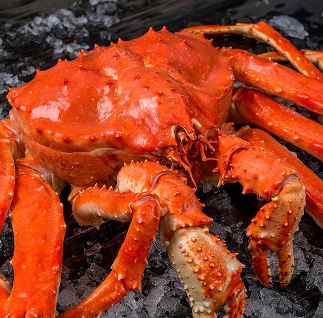 Crab 1. Камчатский Королевский краб. Королевский Дальневосточный Камчатский краб. Дальневосточный краб большой. Камчатский краб красный.