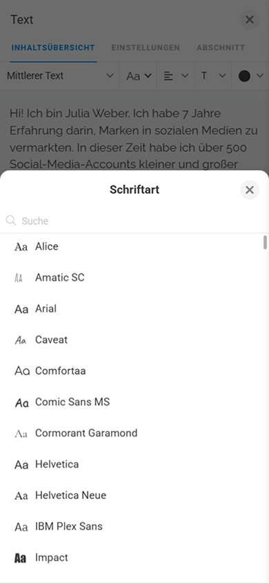 Fenster mit Schriftarteinstellungen im Block „Text“