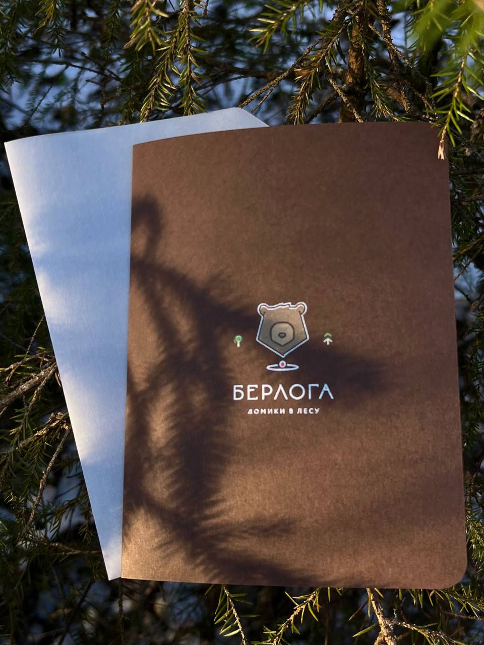 Берлога