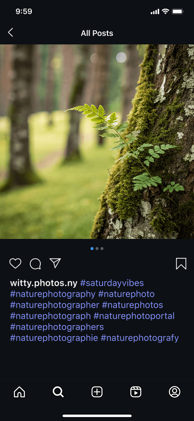 Postingan Instagram seorang fotografer yang menampilkan hutan dan batang pohon dengan tagar fotografi alam