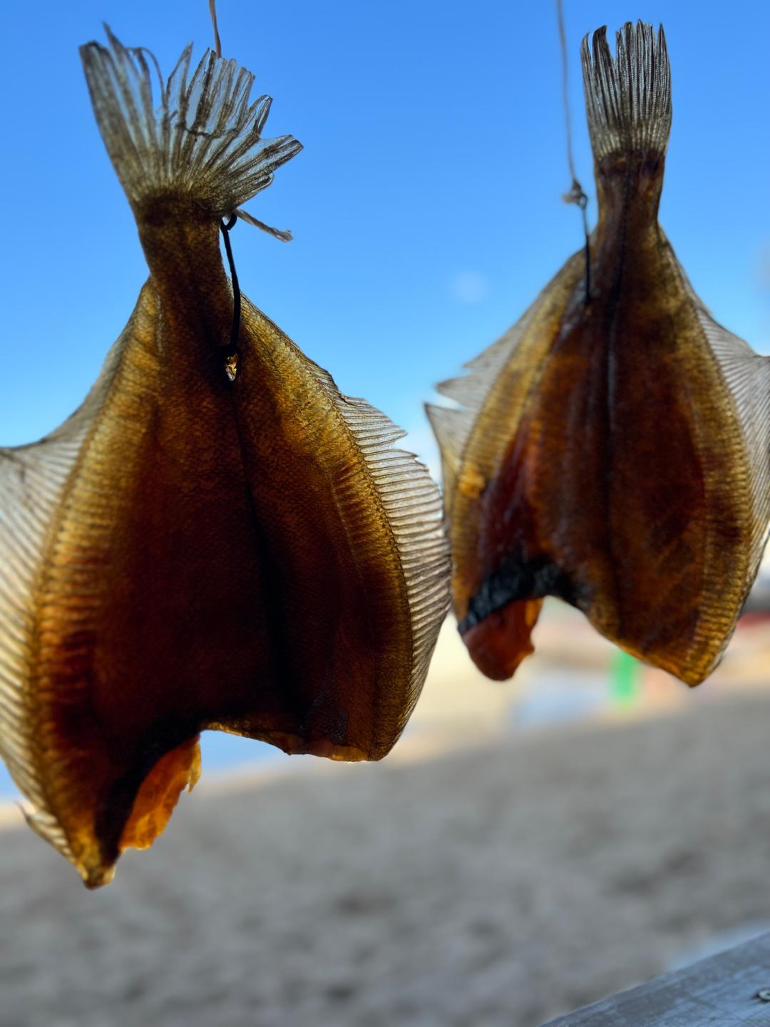 🐟СПИНКИ МУРМАНСКОГО ЕРША