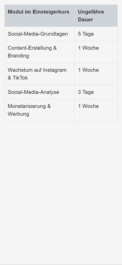 Eine Tabelle, erstellt mit dem Block „HTML-Code“ auf der Taplink-Seite