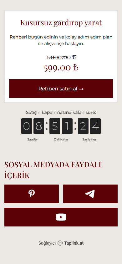 Stil rehberi oluşturucusunun bio link sayfası örneğinin alt kısmı