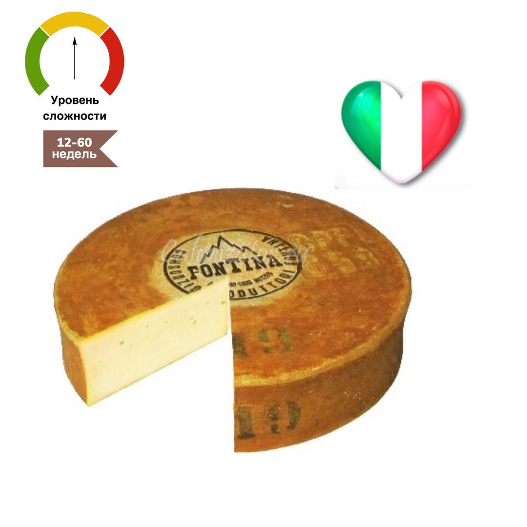 sim-cheese.ru