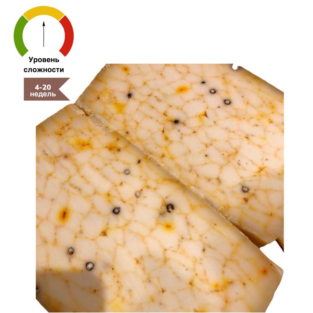 sim-cheese.ru
