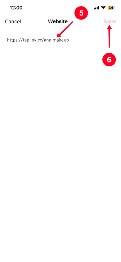 Pasting the link and saving changes in the website settings in TikTok