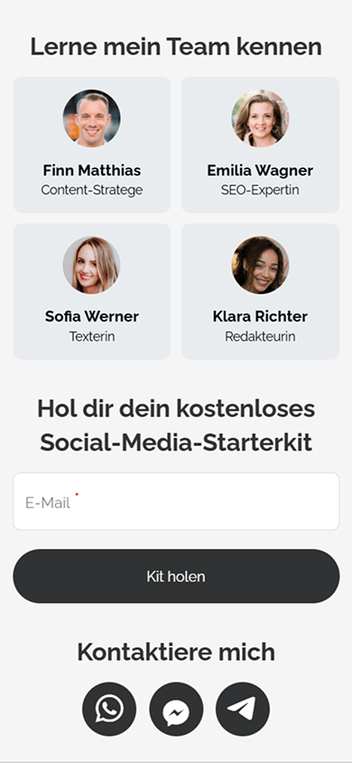 Unterer Teil der Taplink-Seite eines Online-Marketers mit den Blöcken „Text“, „Medien und Texte“, „Formular und Zahlungen“ und „Messaging-App“