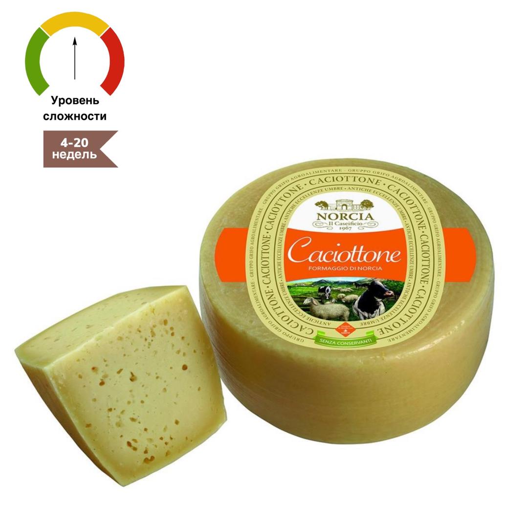 sim-cheese.ru